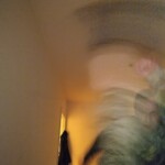 IMG_20200829_211453099