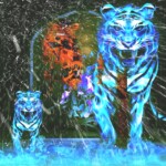 piceditor_20211176211831
