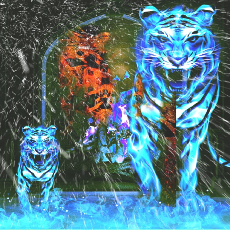 piceditor_20211176211831